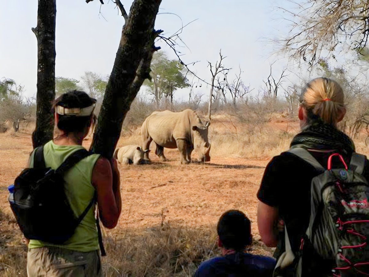 #WorldWildlifeConservationDay2023!

We support all efforts to conserve and protect our Wildlife. On one of our tours, guests have the opportunity to experience rhino tracking on foot in Matobo National Park. 

 #Conservation #Drifters #AdventureTours