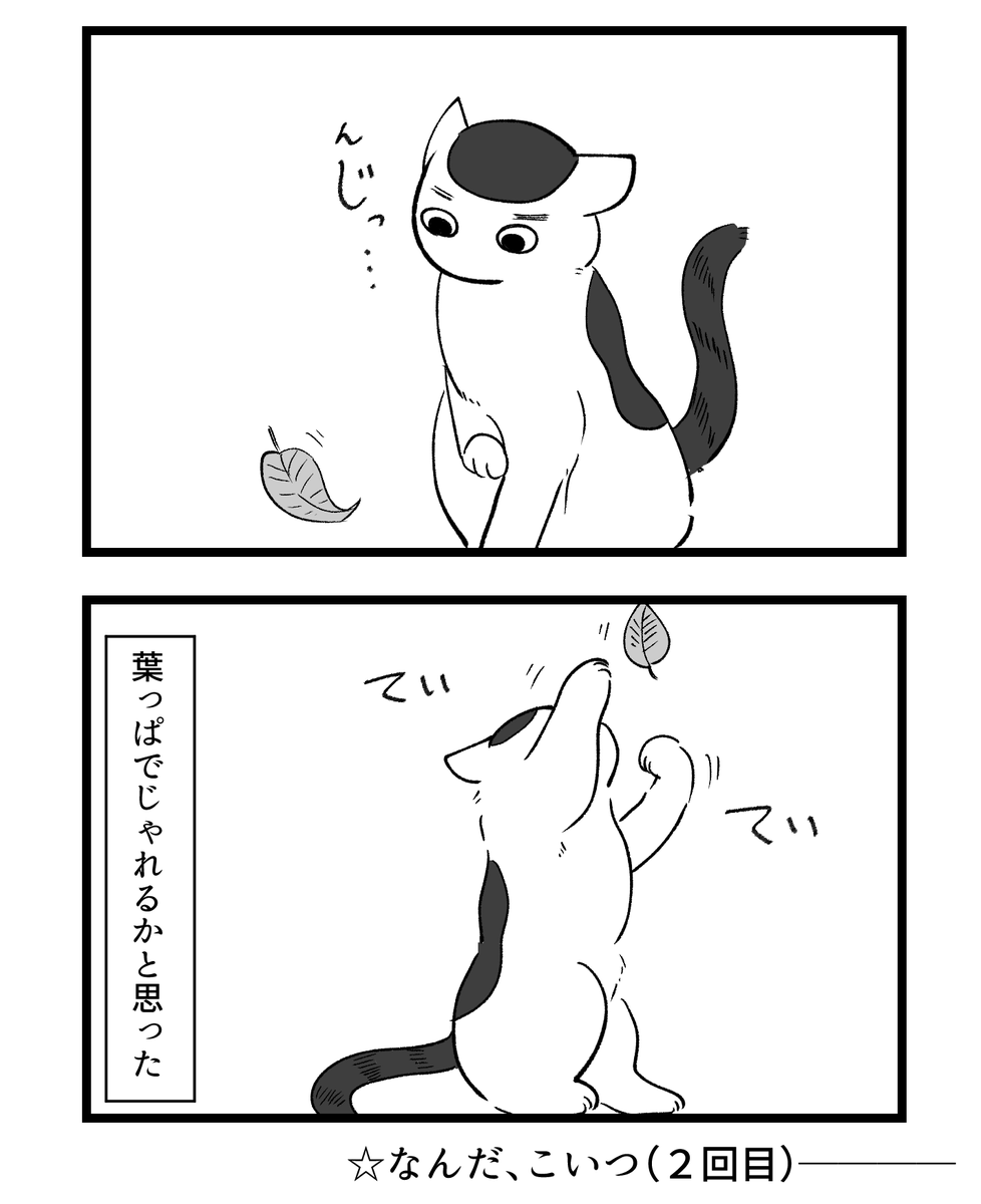 猫化してるので一応隠してます。
歩行者優先のMVの話。
葉っぱみてる厚ちゃん可愛すぎません…?← 