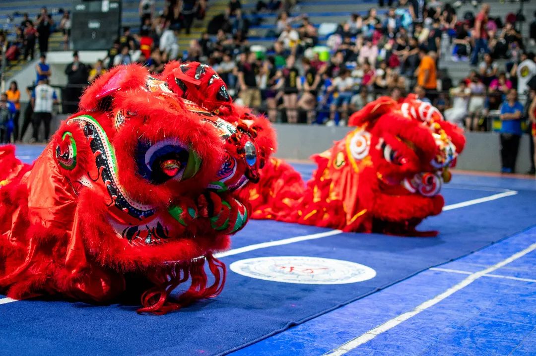 lomasdeportes's tweet photo. •KUNG FU•

👉🏻 Algunas postales de lo que fue el Campeonato Nacional de Wushu Kung Fu que se realizó en el Microestadio del 📍#ParqueEvaPerón 🥋

📌 Participaron mas de 350 competidores y cometidoras de diferentes provincias del pais 💪🏻

Felicitaciones a todos y todas! https://t.co/juooo2u3HH