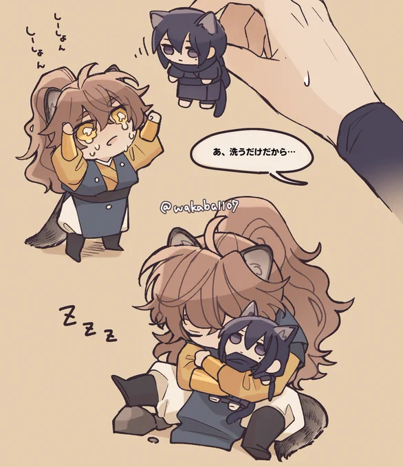 アライグマな権一真と引玉ぬいと引玉(手)
#权引 