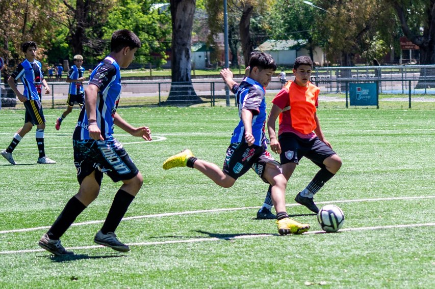 lomasdeportes's tweet photo. TORNEO RELAMPAGO DE FUTBOL 11⚽️✨

👉🏻En las nuevas canchas profesionales de fútbol en el Parque Eva Perón, participaron 11 equipos de las categorías sub 14 y sub 18, un torneo que convocó a más de 200 jóvenes🔥 https://t.co/EQ3U6LdTMc