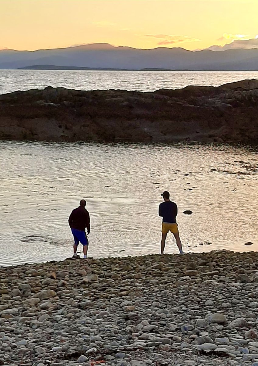 フ ォ リ ス tweet media