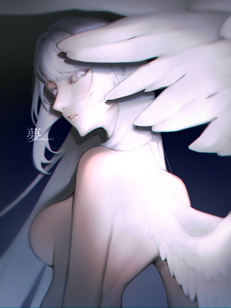 夢₊˚⊹꒷ tweet media