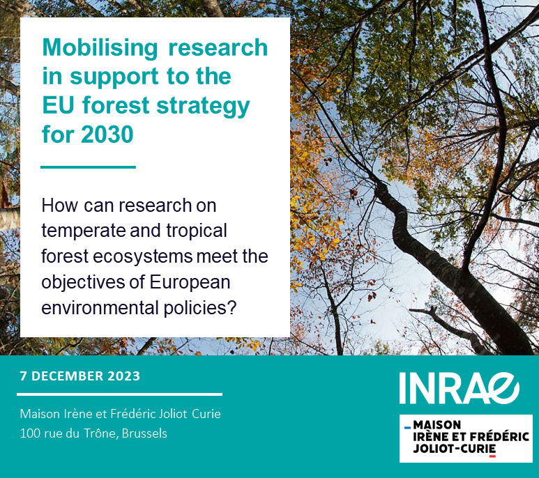 🔔Mobilising research in support to the EU forest strategy for 2030, on December 7 in Brussels

How do we make it? A unique opportunity of dialogue between science &amp; policy

More information👉url.inrae.fr/3T0SeIv