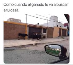 Roberto Ramos (@ramosrobert0) on Twitter photo 