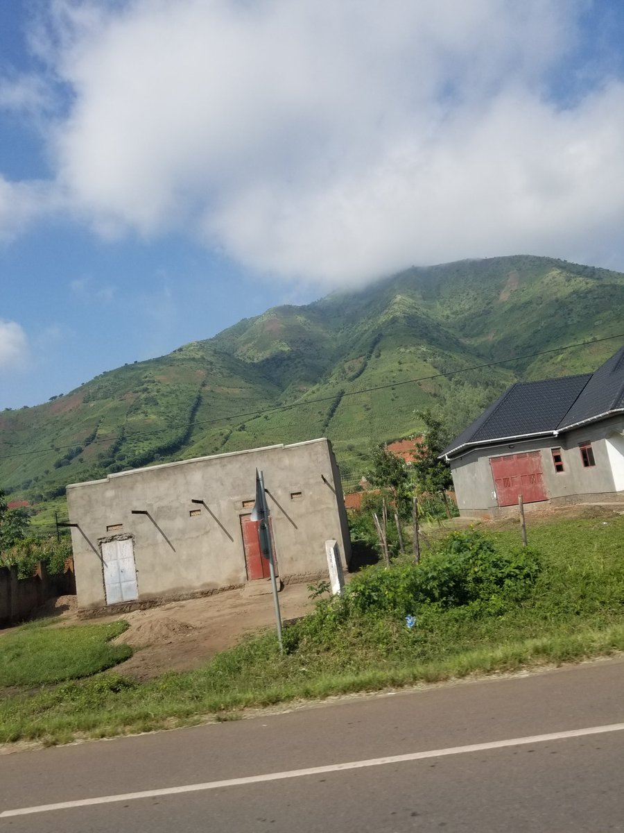 ZootopiaSafaris's tweet photo. Same mountain ranges taken from different angles.. This is the #RwenzoriMountainRanges. #ThisIsUg #zootopiagamedrivesafarisLtd
visit 🌍https://t.co/ehWZCGid11 to book your hiking experience or summit the Rwenzori in Uganda.
📩email us at info@zgd-safaris.com
📸courtesy https://t.co/deD9RIJsFk