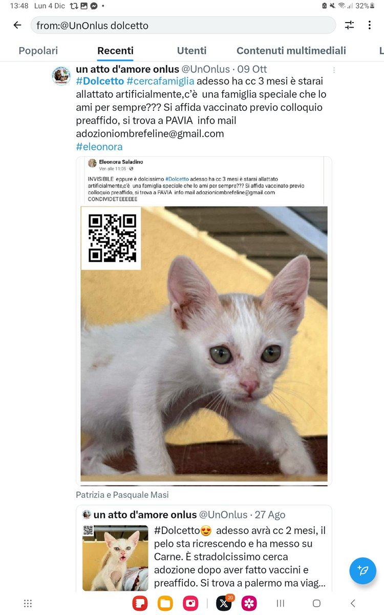 UnOnlus's tweet image. #dolcetto e #pandy 🥰🥰🥰🥰🥰❤️❤️❤️
#adottati