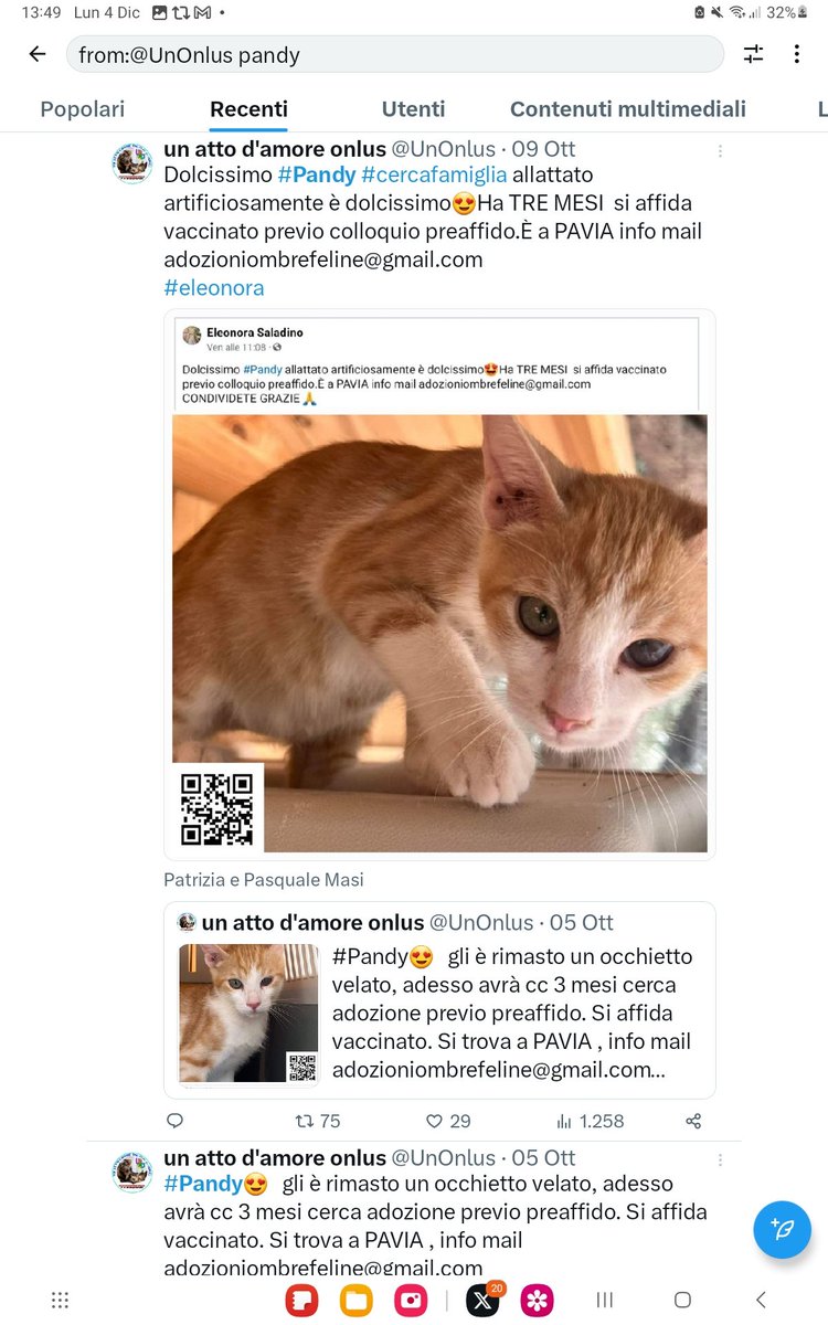 UnOnlus's tweet image. #dolcetto e #pandy 🥰🥰🥰🥰🥰❤️❤️❤️
#adottati