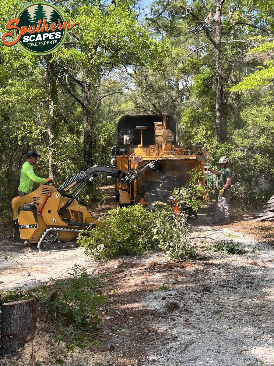 ScapesTree's tweet image. 🌳🏞️ Explore our tree services in action! 🌿🛠️ #TreeCareGallery #TreeExperts #SouthernScapesTreeExperts s2tree.com/gallery/