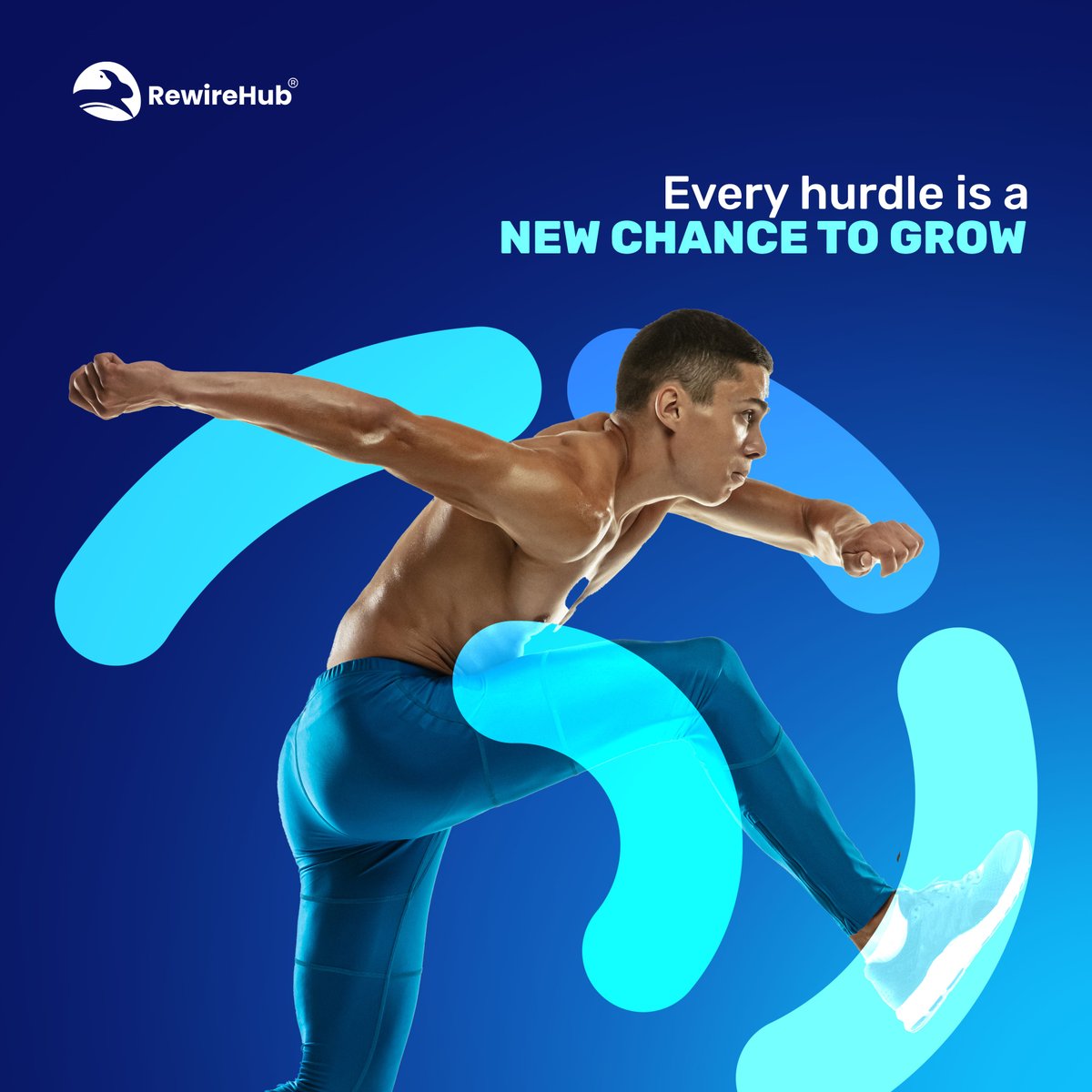 RewireHub tweet media