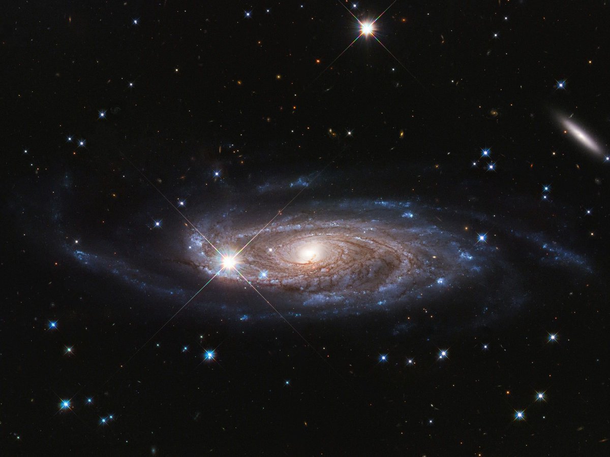 Esta bonita galaxia espiral es UGC 2885 (también llamada la Galaxia Rubin). Está a 232 millones de años-luz y es una galaxia muy grande. Mide unos 800 000 años-luz, frente a los 120 000 de la Vía Láctea. Tiene 1 billón de estrellas. Crédito: NASA/ESA/B. Holwerda #FelizLunes