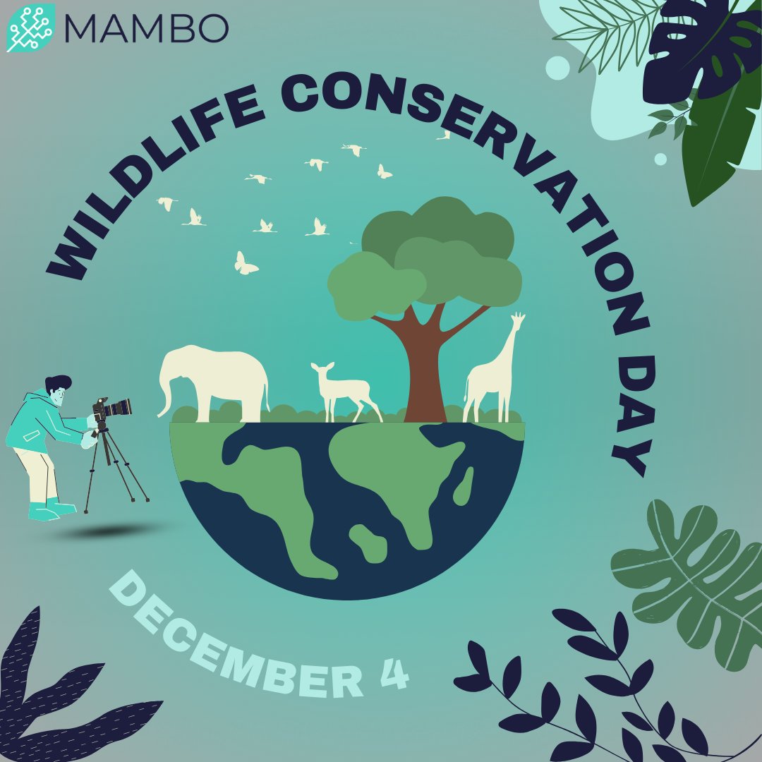 📆Celebrating #WildlifeConservationDay🌿today.🌍
💚MAMBO is committed to preserving nature and wildlife.💡Our mission is clear: advance #biodiversity monitoring using the latest #tech novelties by fostering #knowledge, #collaboration and #action.🌱🌳
🔎mambo-project.eu
