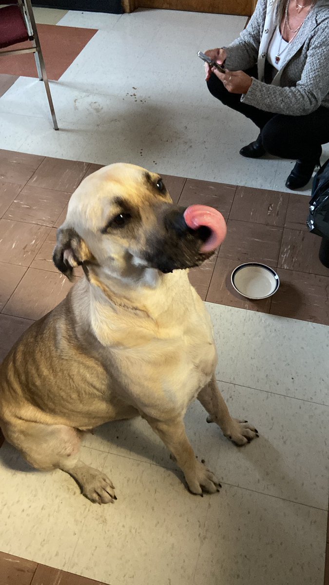 Eric Finn tweet media