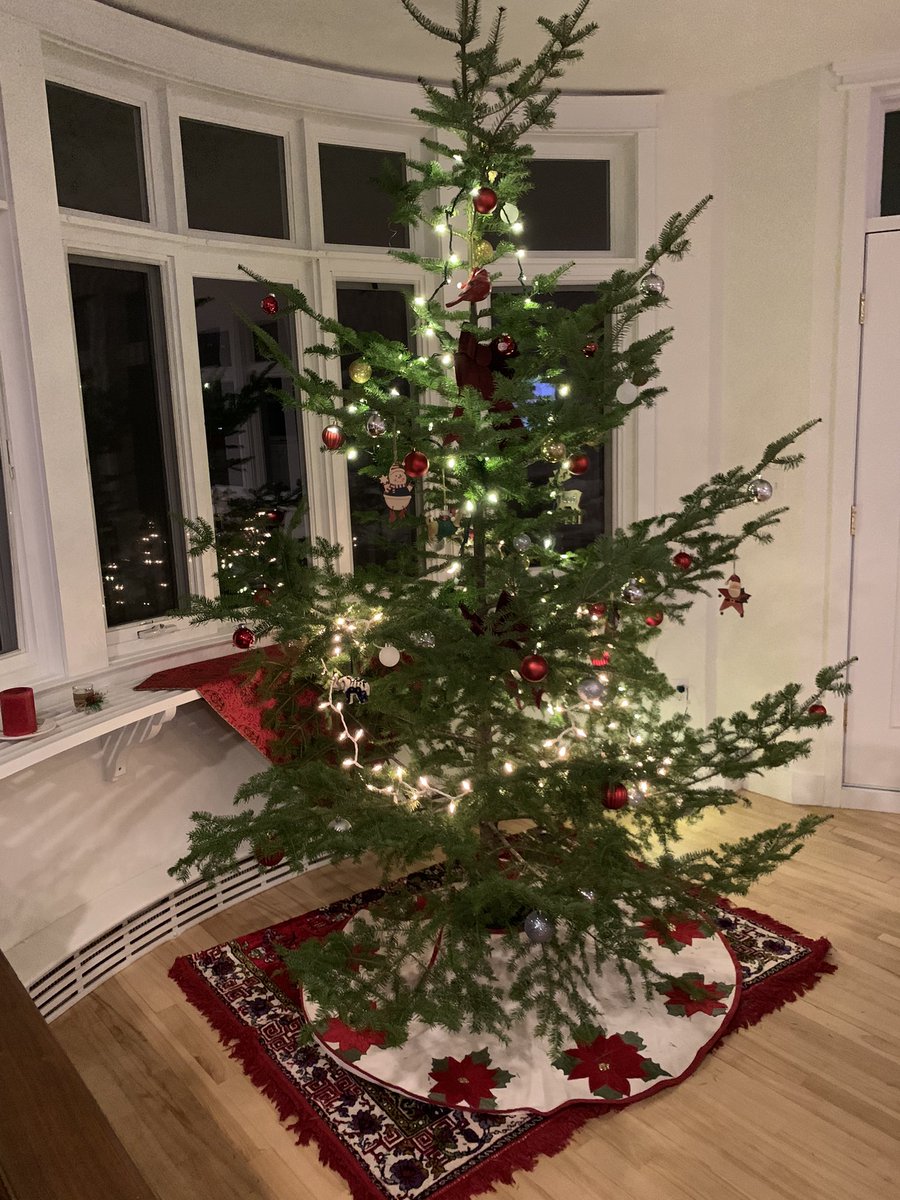 Our Christmas tree is up. Can’t wait for the holiday 🥰