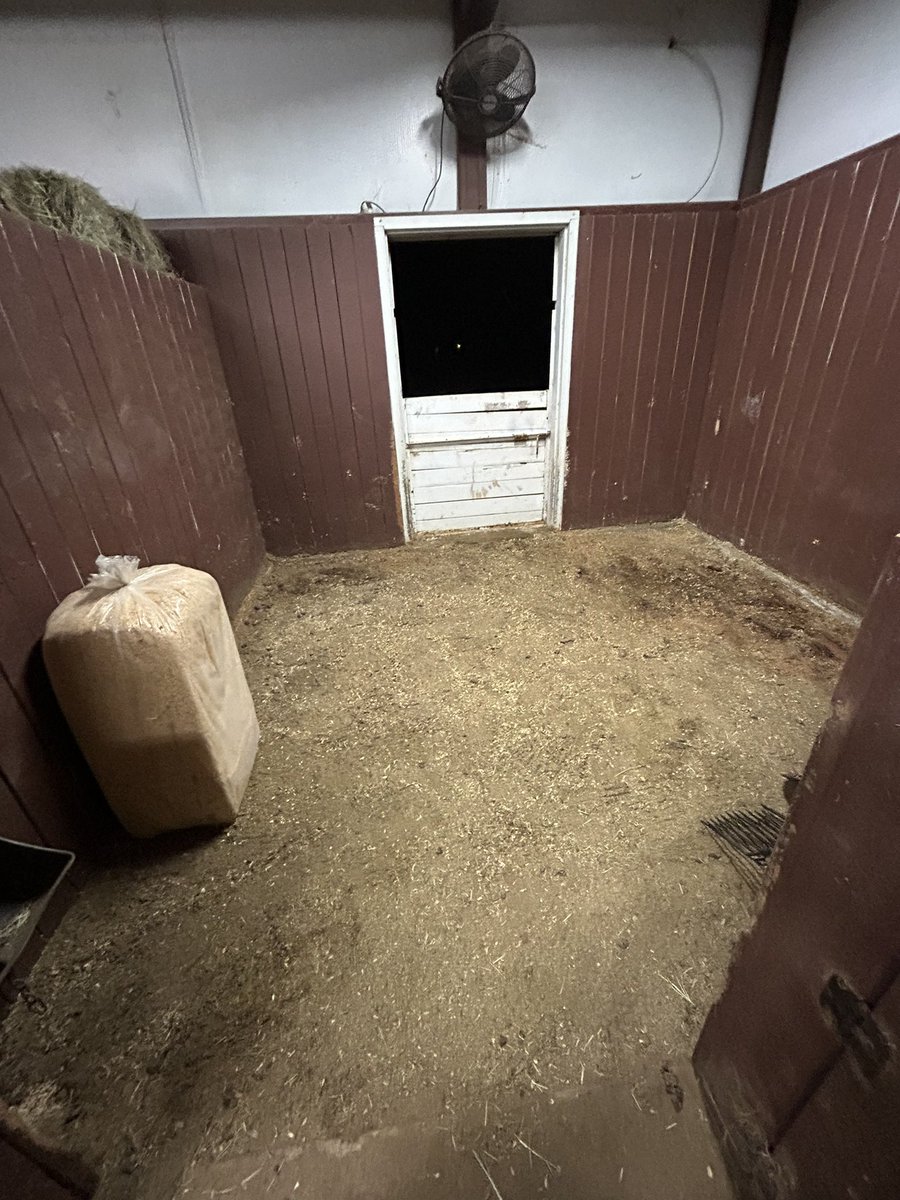 baydemon's tweet image. It’s so satisfying to completely strip down a stall 🤌 #barnmanagement