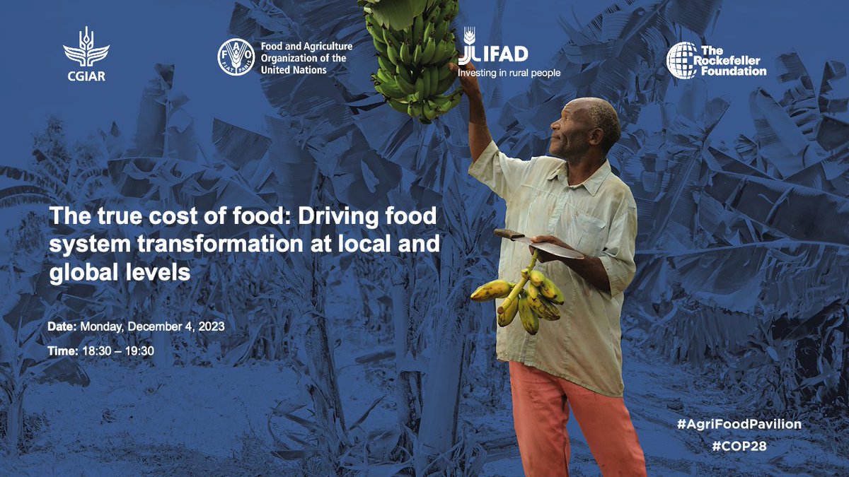 🔴 #COP28UAE | The True Cost of Food 💰 The #HiddenFoodCosts exceed US$10 trillion annually — equivalent to more than 10% of total global GDP. Join us to learn about the role of #TrueCostAccounting in driving food system transformation. 🎧 Tune in live: youtube.com/watch?v=3AQZ5E…