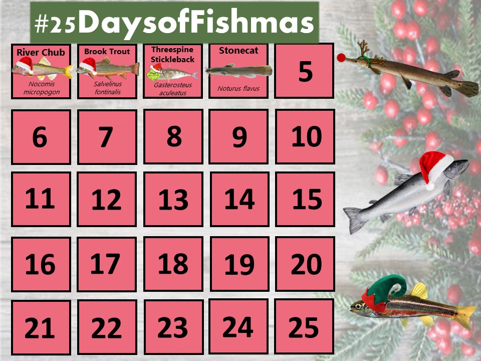 Katie O'Reilly tweet media