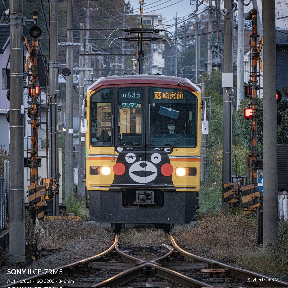 今日も一日お疲れ様でした

#熊本 #合志 #黒石 #熊本電鉄 #01形 #くまモン #SONY #α7RV #SEL100400GM #SEL20TC