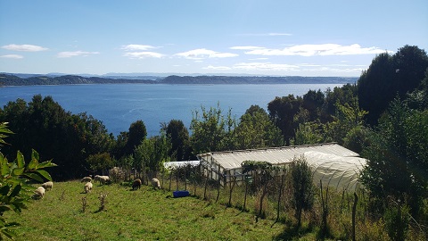 🤔¿Impulsores de cambios socioecológicos en Sistemas Importantes del Patrimonio Agrícola Mundial? Las comunidades campesinas de Chile los identifican 👩‍🌾🇨🇱

Estudio de <a href="/juliancaviedesp/">Julián Caviedes</a> publicado en Regional Environmental Change

uab.cat/web/sala-de-pr… a través de <a href="/UABBarcelona/">Universitat Autònoma de Barcelona</a>