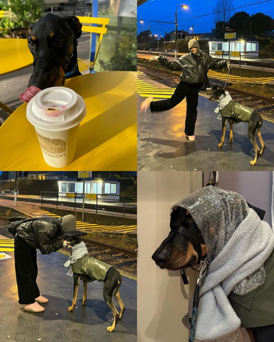 lalaluvlalisa's tweet photo. So funny 😂 is the bubble wrap supposed to keep him warm? https://t.co/haSCMEBM21