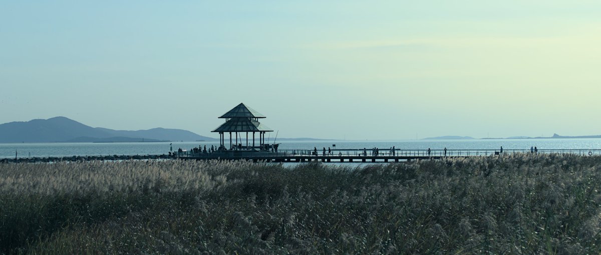 Zhen Yin 印真 tweet media