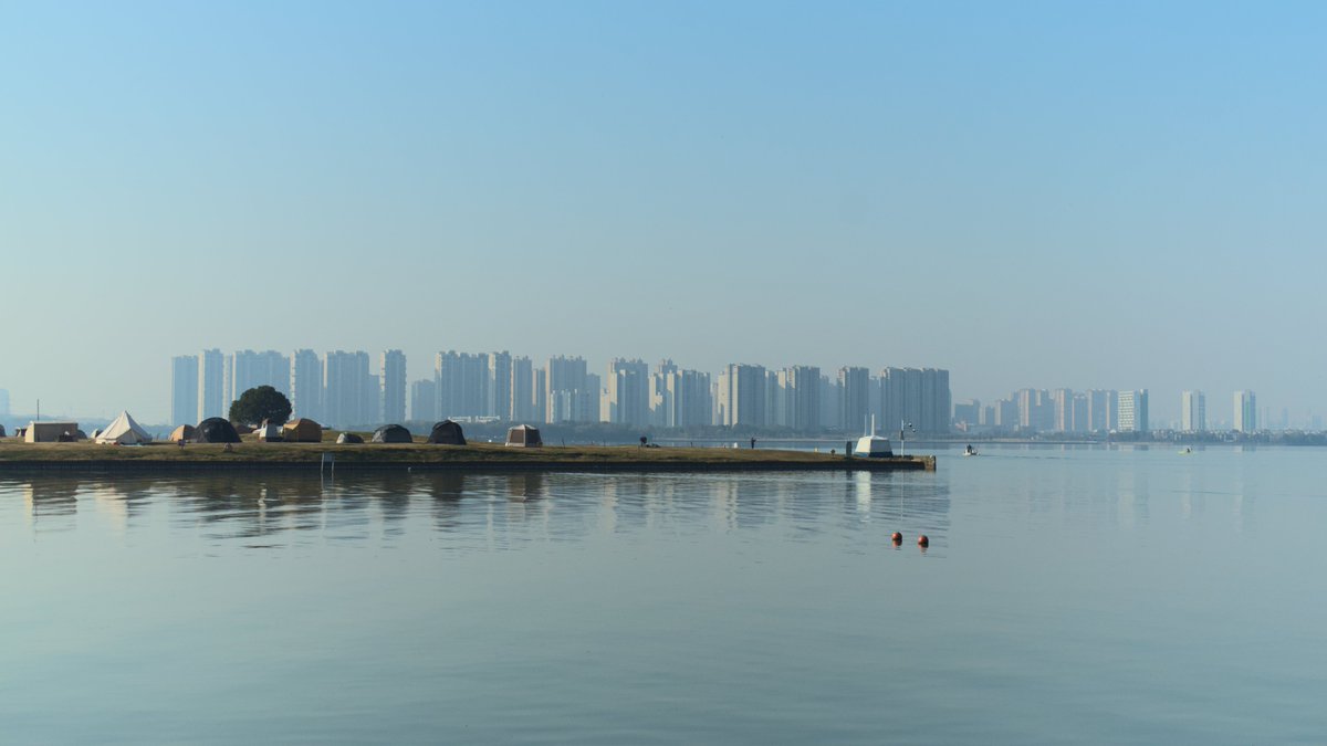 Zhen Yin 印真 tweet media