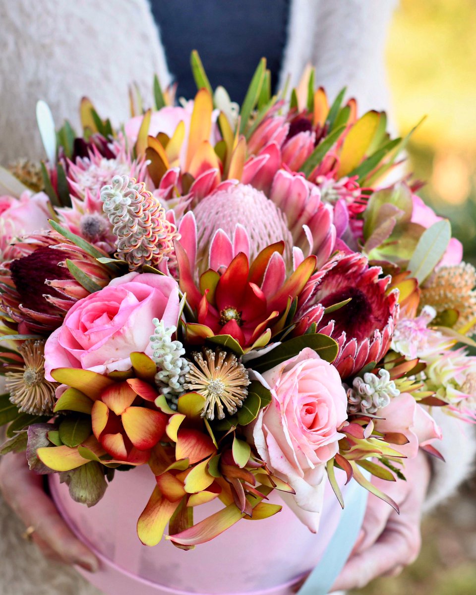 DianaR_Resendiz's tweet photo. When we give cheerfully and accept gratefully, everyone is blessed. - Maya Angelou 💐 #mondaymotivation #blessed #gratitude #giftsofnature #protea #cagrown #embracingtheseasons https://t.co/GCyRULH4Ip