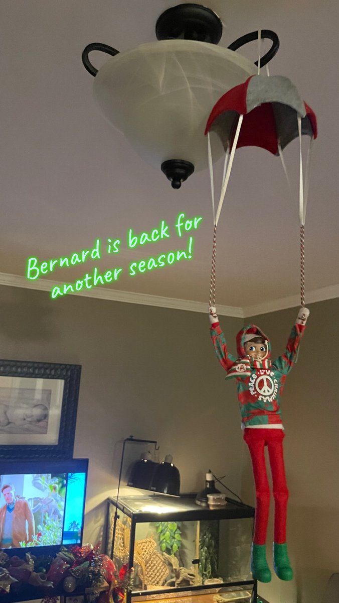 flynn18_flynn's tweet photo. @HolyCrossElem C’s elf Bernard parachuted back and this morning Bernard and the elf pets told us not to eat yellow snow 🤣 https://t.co/nRBzEEbUxo