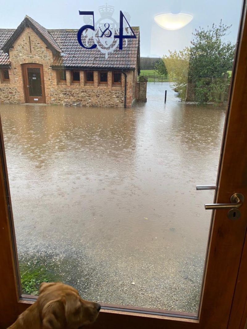A wet start to our Monday morning!🌧️

Unfortunately wellies aren’t included in our uniform and so we have had to improvise🤣.

If you’re out on the roads today, please take care!🚗

#ITSupport #ITSolutions