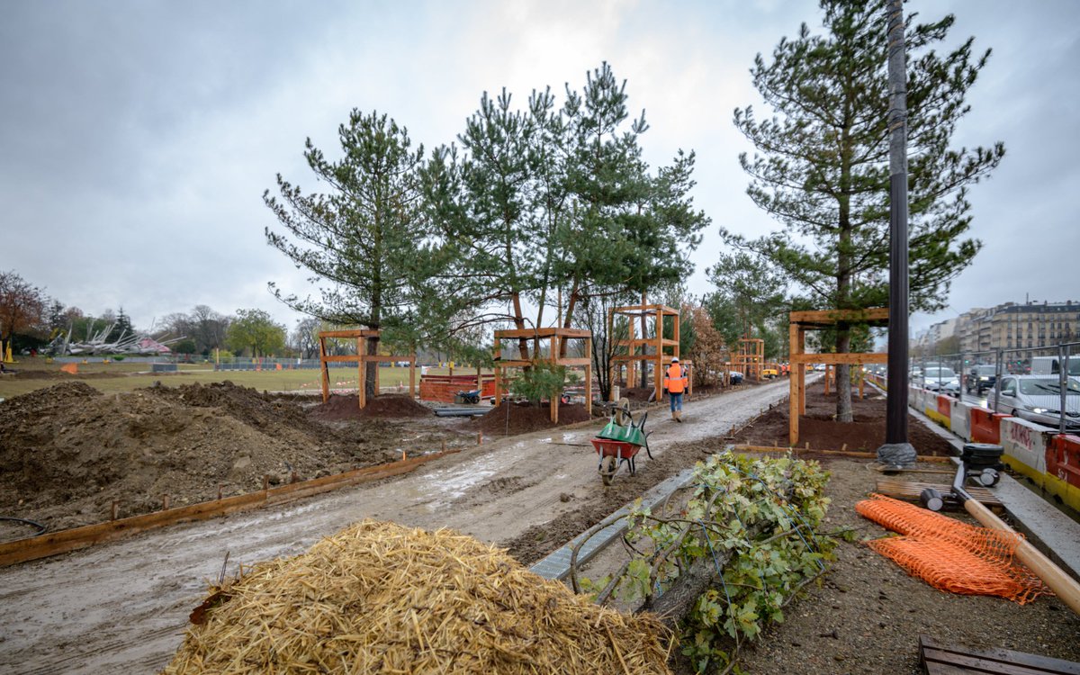🌳 #PlantationsCapitales : Direction la Porte Maillot où + de 500 arbres 🌳 (sur + de 1500 pour tout le projet) sont plantés cet hiver dans le cadre de la transformation de cette porte en place publique de dimension métropolitaine, + accueillante et végétalisée
#ParisSeTransforme