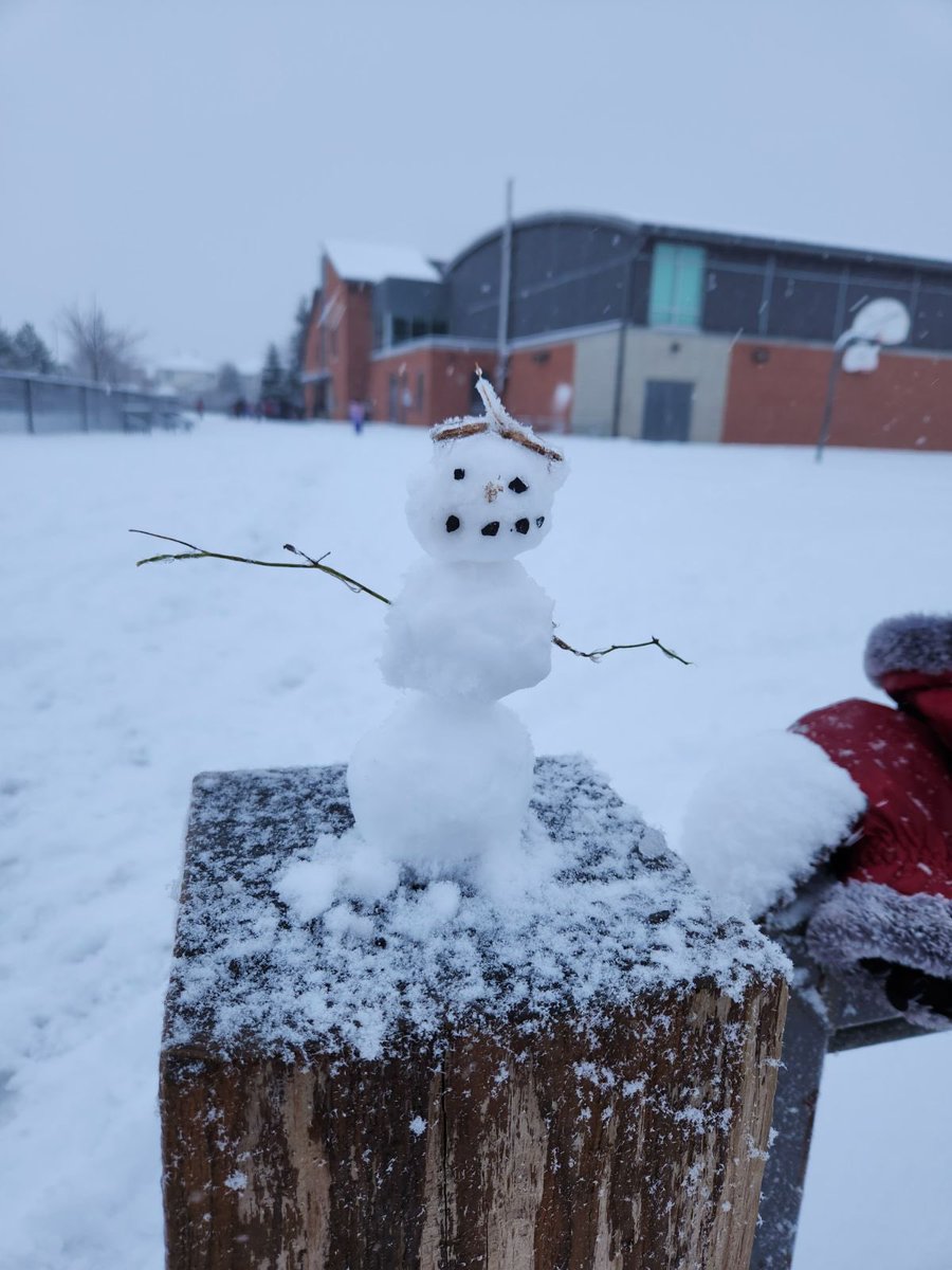Happy Snow Day from the Avalon parking lot! <a href="/OCDSB/">OCDSB</a>