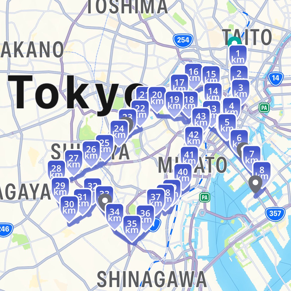 Marathon #222: Tokyo, Japan /// Just sayin’…if you’re willing to stay in an 8’x8’ room with no window, no closet & no mattress…you can get 18 nights of digs in central Tokyo for less than $600USD all in, LOL 👣🇯🇵🌏 #MarathonEarthChallenge  #WorldByFoot