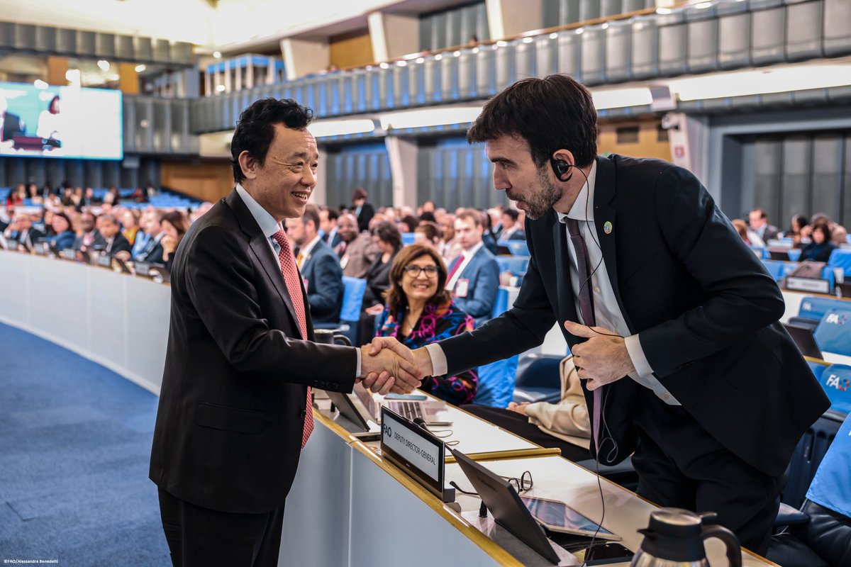 FAODG's tweet image. I am pleased to appoint my esteemed colleague @maumartina as @FAO Deputy Director-General &amp;amp; part of my Core Leadership team. I look forward to continue working together to create a strong &amp;amp; dynamic FAO to better support Members for a food-secure future for all. #4Betters #CL174