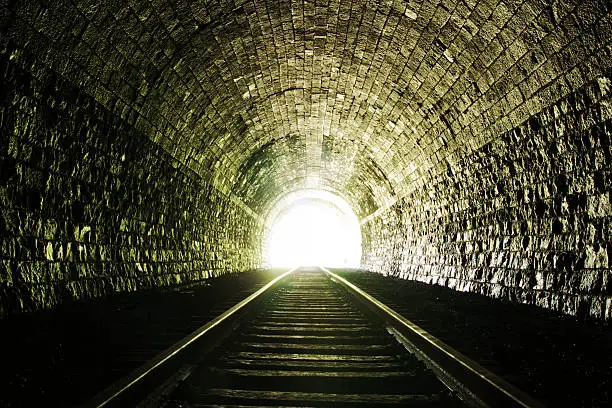 The ORiF Study (@orif_study) on Twitter photo #LightAtTheEndOfTheTunnel - only 99 recruits to go! Thanks to <a href="/tcombellack/">Tom Combellack</a> and team for the latest randomisation <a href="/NIHRresearch/">National Institute for Health and Care Research</a> <a href="/SITU_Oxford/">SITU Oxford</a> <a href="/OCTRUctu/">OCTRU Trials Hub</a> <a href="/benollivere/">Ben Ollivere</a> <a href="/crf_cardiff/">Cardiff and Vale Research Delivery Team</a> #ribfixation #LightAtTheEndOfTheTunnel - only 99 recruits to go! Thanks to <a href="/tcombellack/">Tom Combellack</a> and team for the latest randomisation <a href="/NIHRresearch/">National Institute for Health and Care Research</a> <a href="/SITU_Oxford/">SITU Oxford</a> <a href="/OCTRUctu/">OCTRU Trials Hub</a> <a href="/benollivere/">Ben Ollivere</a> <a href="/crf_cardiff/">Cardiff and Vale Research Delivery Team</a> #ribfixation