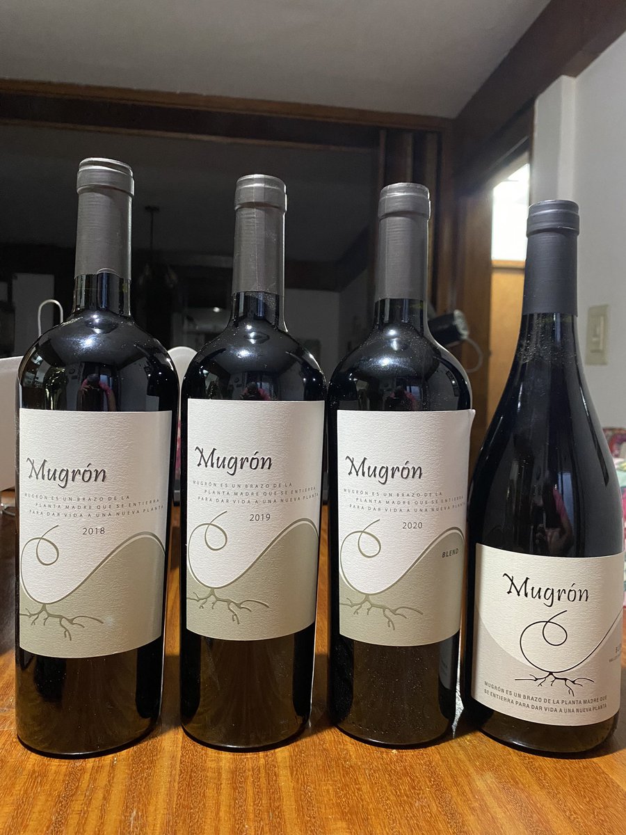 Preparando la vertical del Blend. En 2024 abrimos la escalera 18-22 🔜