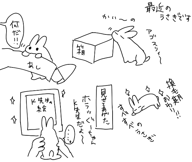 最近のうさぎとのなかです 