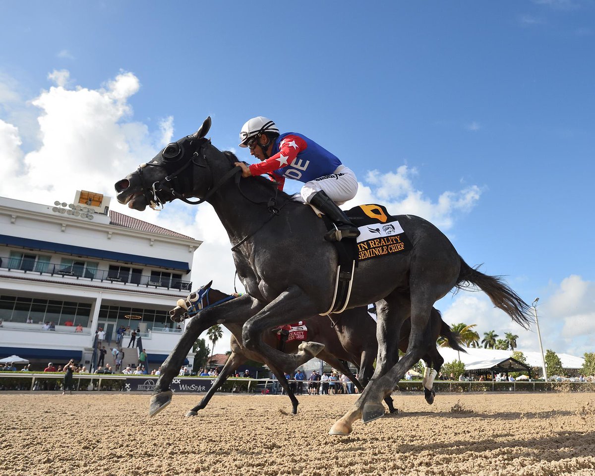 FTBOA Florida Sire In Reality Stakes $300,000 #GulfstreamPark #ChampionshipMeet Seminole Chief 3-2 $195,960 Jockey: Paco López Trainer: Jack Sisterson Propietarios: Brad Grady / Misty Grady Tiempo: 1:45”2 (1 Milla y 1/16) • Arena