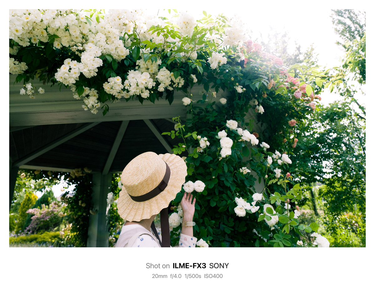 to_cine_'s tweet photo. 写真も動画も良い思い出になると
この写真をみて思う
#fx3 
#これソニーで撮りました https://t.co/Ql81trO3Gw