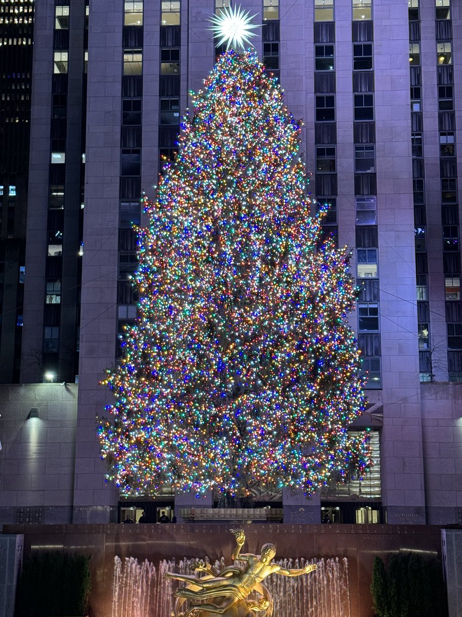 @gxy4pxy So come back