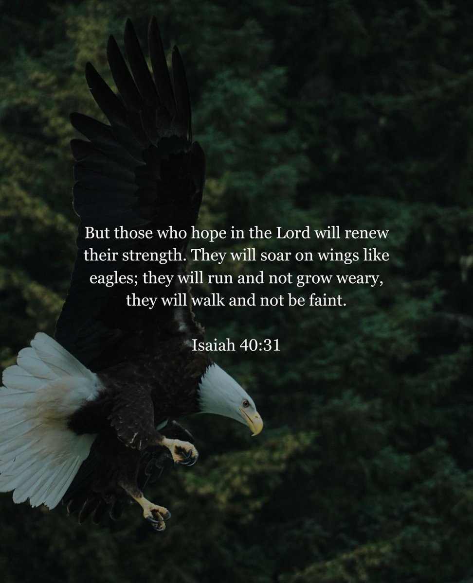 NHCBrea's tweet photo. @nhcbrea But those who hope in the Lord will renew their strength. They will soar on wings like eagles; they will run and not grow weary, they will walk and not be faint.   ~Isaiah 40:31

#northhillschurch #nhcbrea #northhillsyouth #christmas #christmastime #christmasactivities https://t.co/0EDPgdoudc