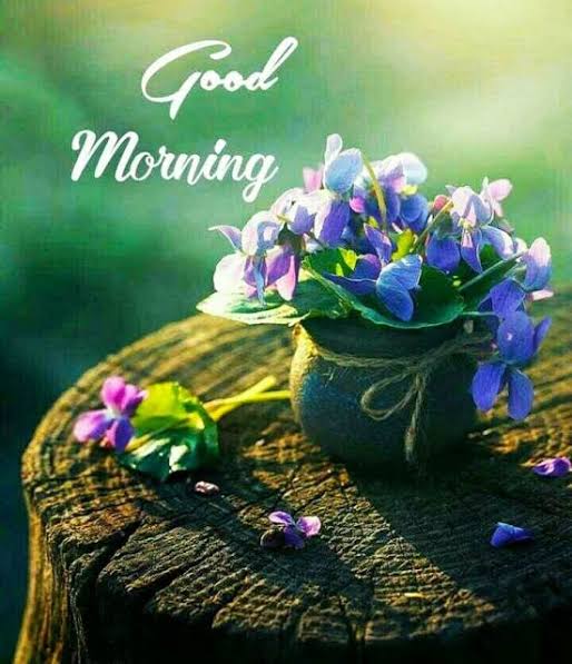 🌞 Good morning, Twitterverse! 🌈✨ Rise and shine in the pixelated glow of a brand new day! 🚀 Let the blockchain brushstroke your canvas with creativity, and may your timeline be filled with positivity and virtual adventures! ☕️🎨 #GoodMorning #DigitalVibes #EmbraceTheDay 🌐💙