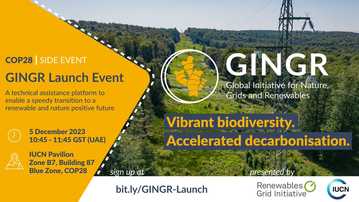 RenewablesGrid's tweet photo. How can we ensure the⚡️#EnergyTransition enables 🌿#biodiversity protection? 🤔

Learn more with us &amp; @IUCN tomorrow at #COP28 &amp; online for the launch of #GINGR – the Global Initiative for Nature, Grids, and Renewables 👇

https://t.co/Dh5N9k0UeI https://t.co/tGk5qy7J2R