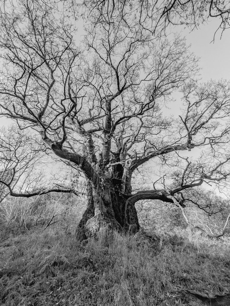 NICK KWEK 💡 tweet media