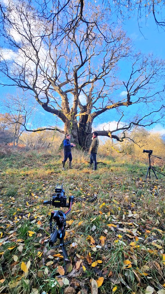 NICK KWEK 💡 tweet media