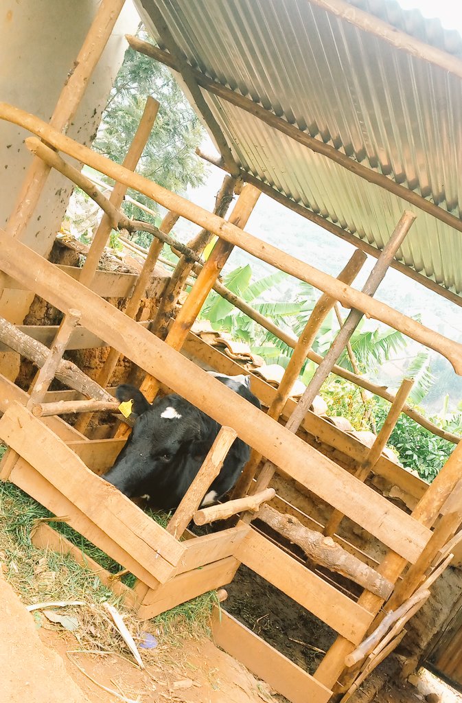 Hindiro Sector tweet media