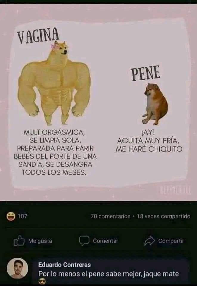 Cossa Nosstra (@cossan0sstra) on Twitter photo 