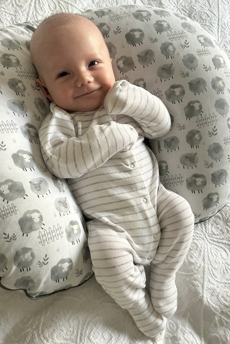 1878stevie's tweet photo. @DanWuori Doha, Qatar with this little man (originally from Liverpool, UK). Your account has been a really useful resource, thanks! https://t.co/t5OiwRTTbf