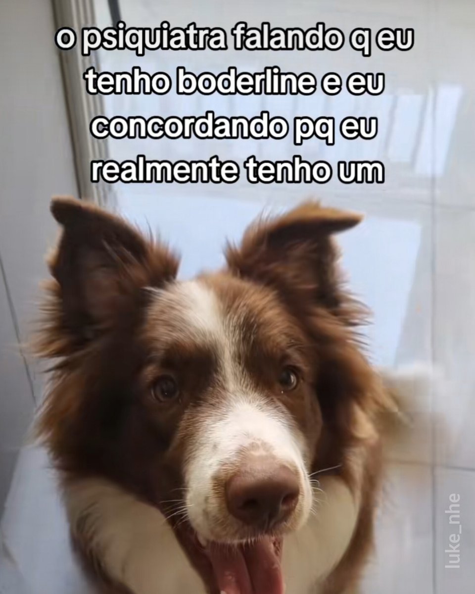 mel (@meltedvideos) on Twitter photo 