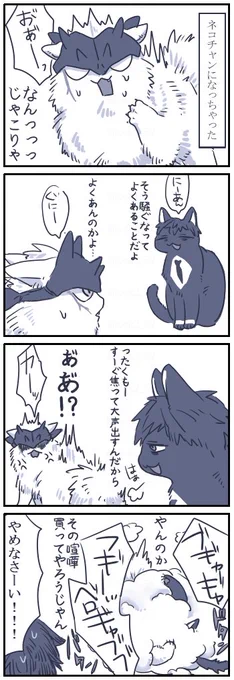 ネコチャン漫画
新八にゃんとはじめにゃん 