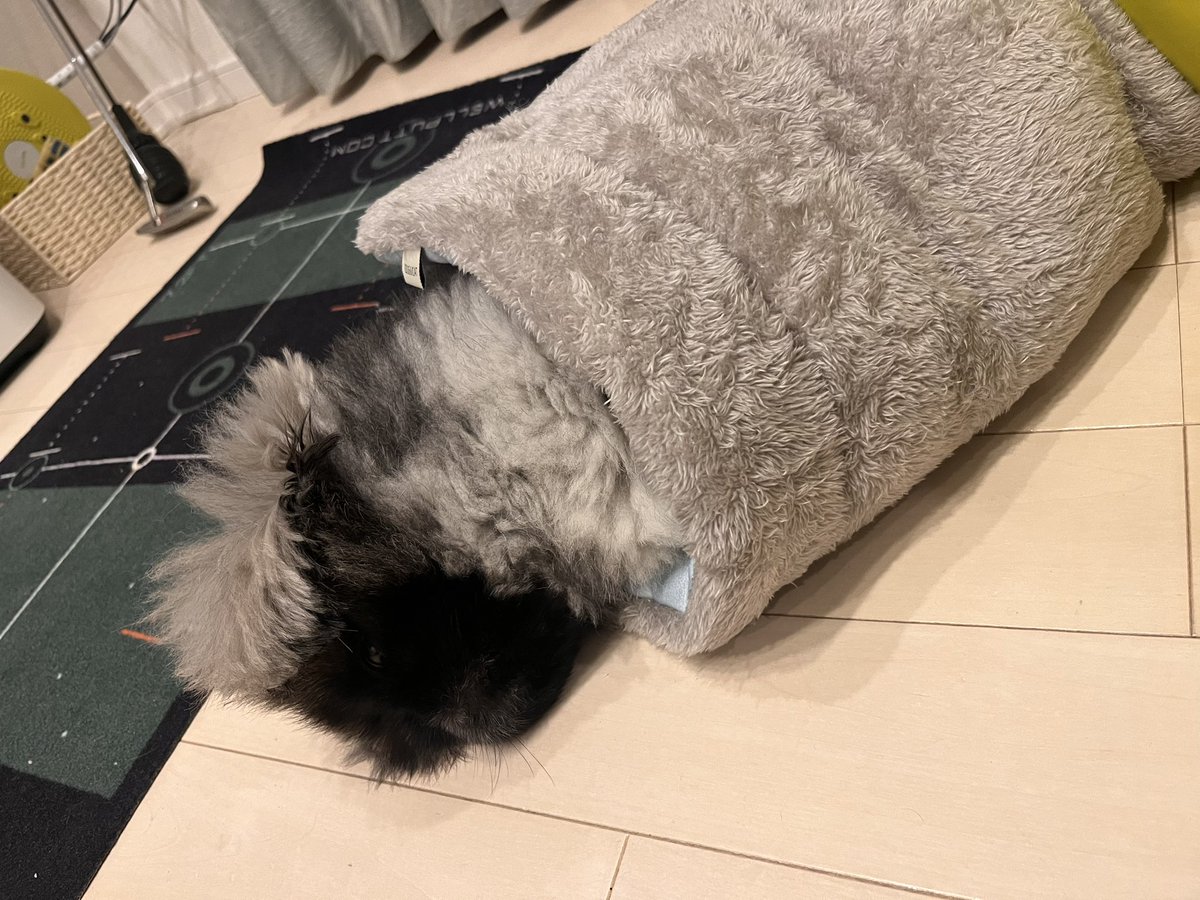 ししまる SK11 鷲掴みドリルチャック SDSPlus軸 キー付13mm スーパーフェイス